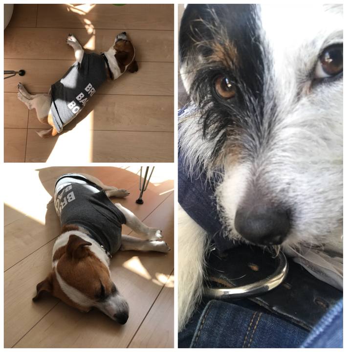 3b9fb777 3819 4960 b28b 898d88db6f0c 1523332059011