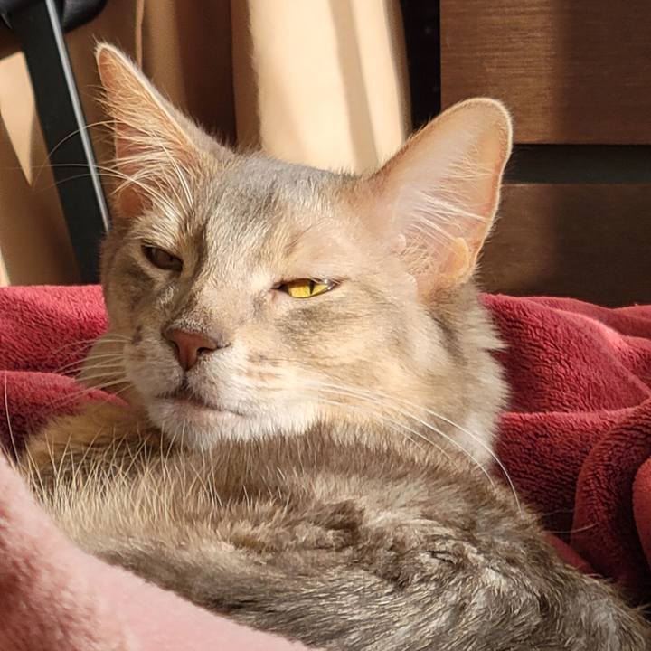 3b9fde02 cfbc 4530 9258 4be436eb8dcb 1639890764263