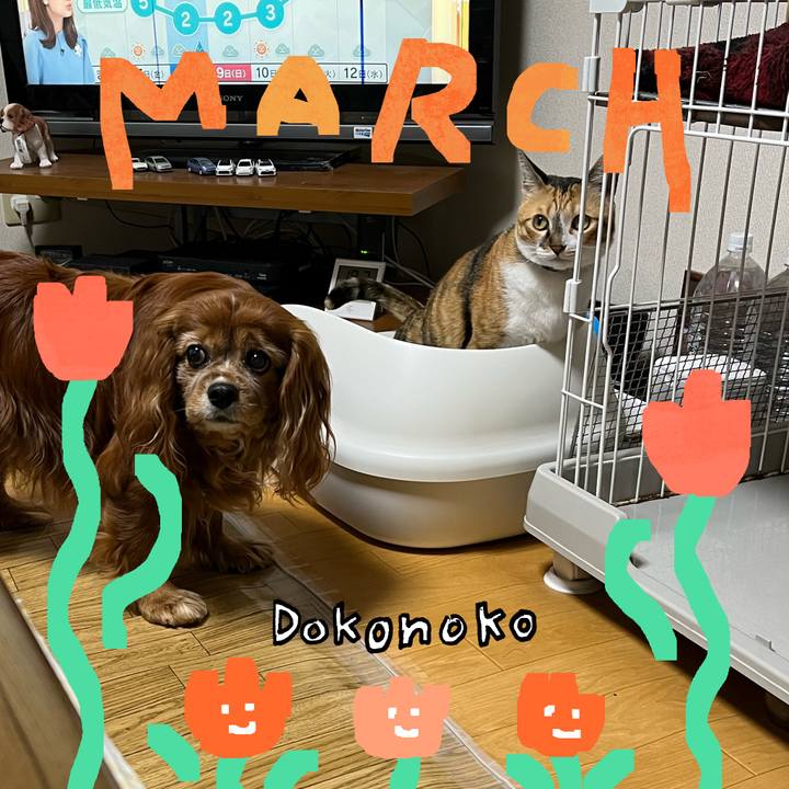 3b9feb7e 239c 4b37 affe 45bb081d8887 1741267545282