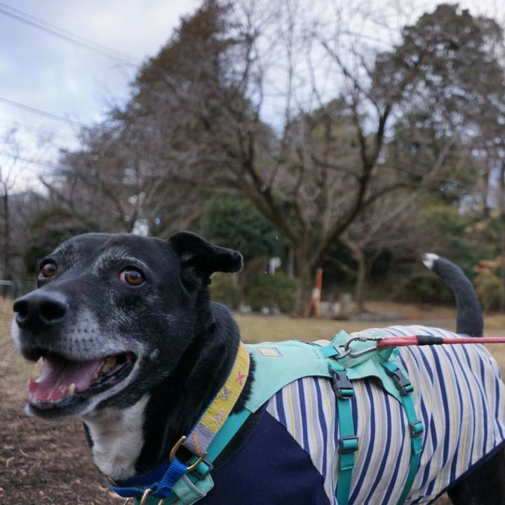 3ba001f9 1452 4cc2 b416 17cc4b66e5f2 1770856377581