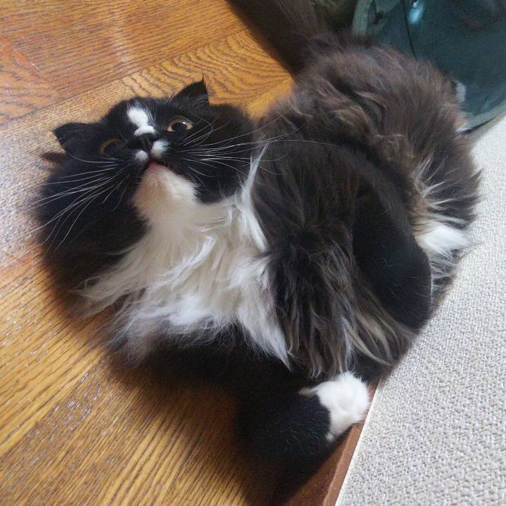 3ba00568 7f5f 453e 9e47 e6936bd16275 1656575093588