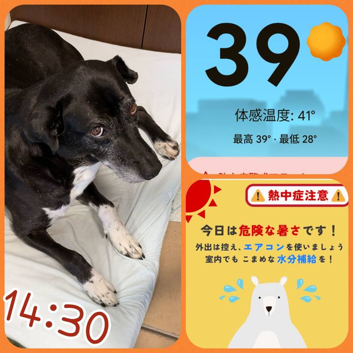 3ba00e88 52a4 4419 83d1 9a79b433827d 1754372153384