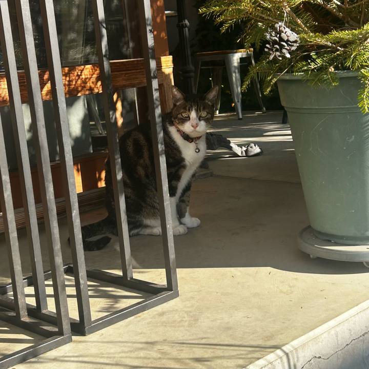 3ba04bb8 a9bc 4c47 869d fc206757976e 1763195971835