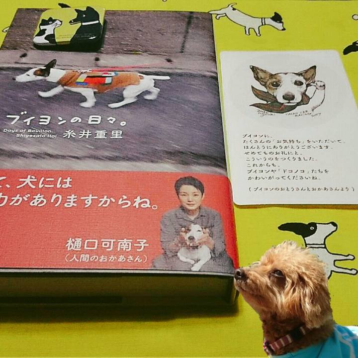 3ba05030 92ba 49b9 bfa5 876a7fa6407b 1527250738696