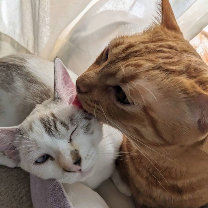 3ba065d3 45eb 4723 9ced 0a85a486b07f 1697082370968