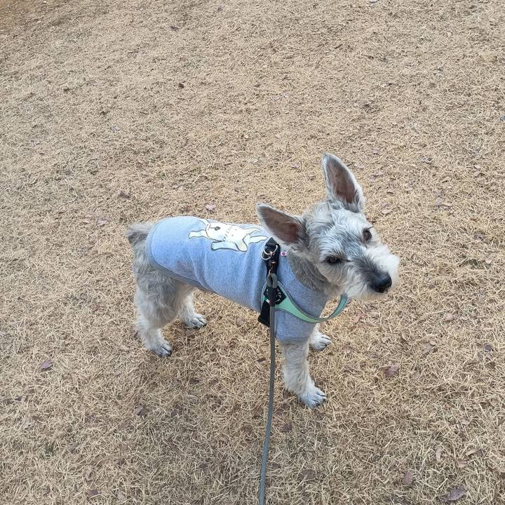 3ba0a1b5 b083 46f2 bf68 c335d0e89aa4 1771240203716