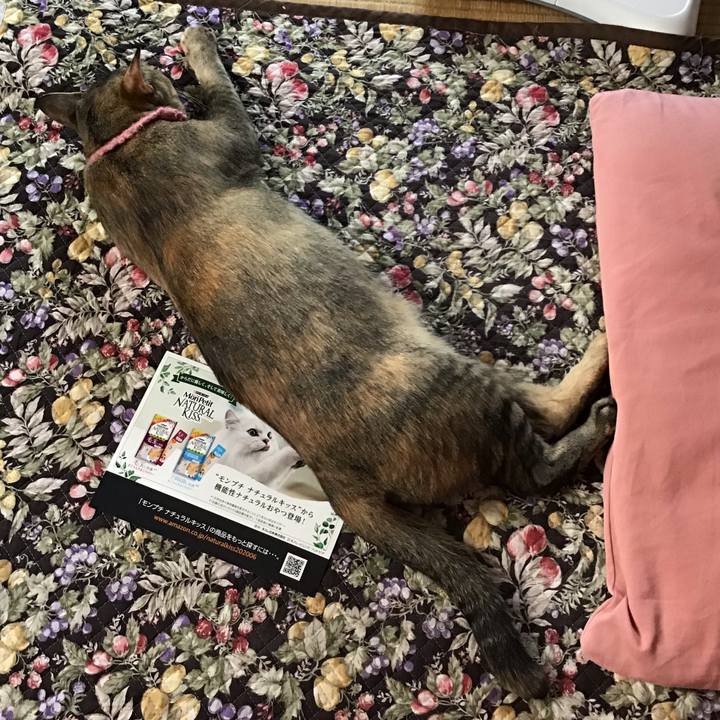 3ba0b2e6 7713 423b b06b 58769fa24cb5 1592260528621