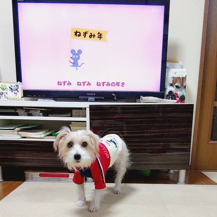 3ba0ba99 91dd 4ad0 83b2 70c9417555bc 1578954911425