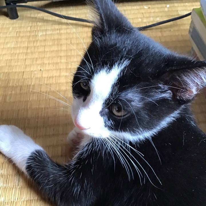 3ba0c4c2 cb9f 4da3 a996 358827fa4fa6 1626053202813