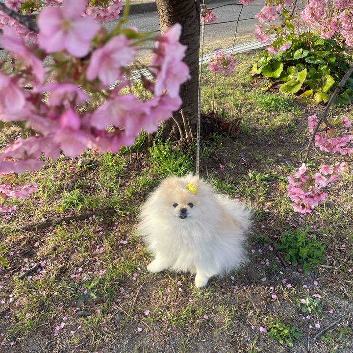 3ba0de53 7919 4ff0 b269 958ce22cb670 1741907598177