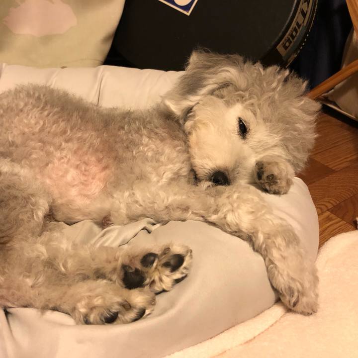 3ba108dd 945b 4868 9eb7 60b892941f59 1623446126314