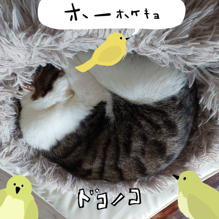 3ba11081 152d 4a8b 8d6b 6a82dfde1020 1710988765435