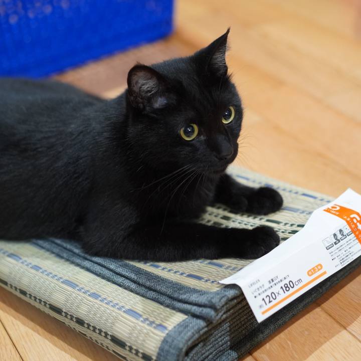 3ba18753 0107 40e9 a367 96566ba490f1 1655129363453