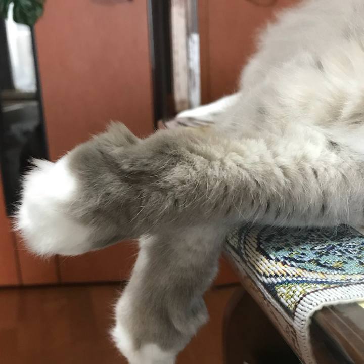 3ba1cf6a 3e7c 4df4 87ab 2c223414307e 1519623391632