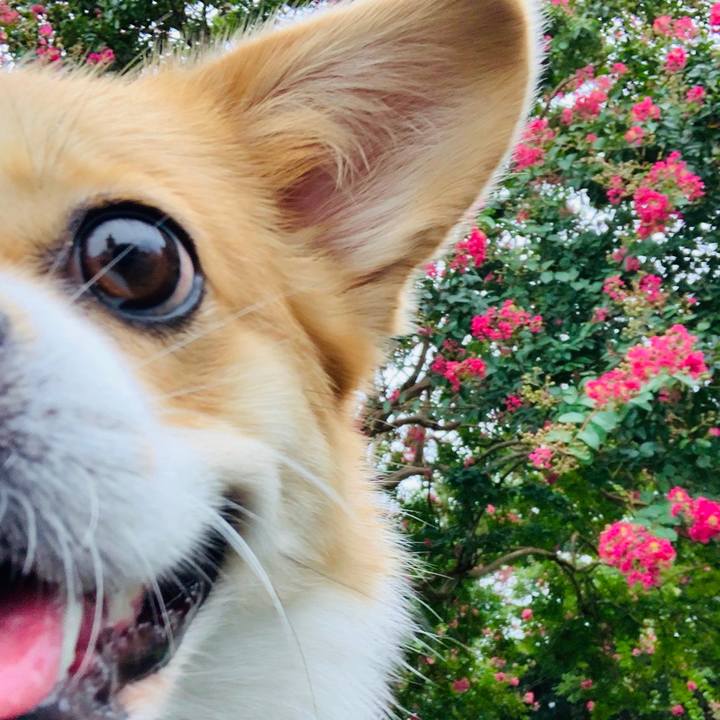 3ba1d6ae 18bc 48e9 8af9 3d8a01150d93 1599901186496