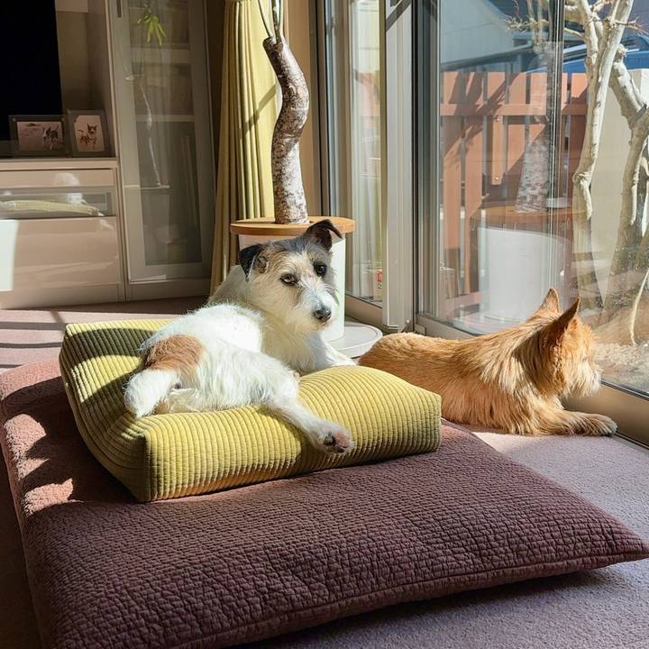 3ba1dbe7 d942 47be 8698 f12e5417a902 1741528114624