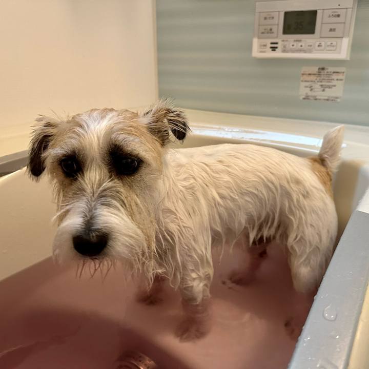 3ba1ea43 8a8f 44a0 af53 af83937d3c39 1699764838362