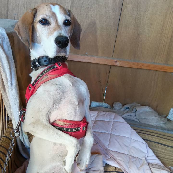 3ba22b39 76fa 4361 b5b9 d99ed2d86c76 1727845070930