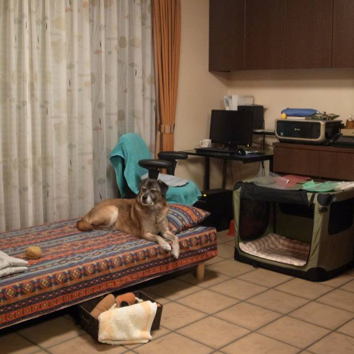 3ba24d40 4cb7 4a8d 9183 bd142df3061b 1584232429355