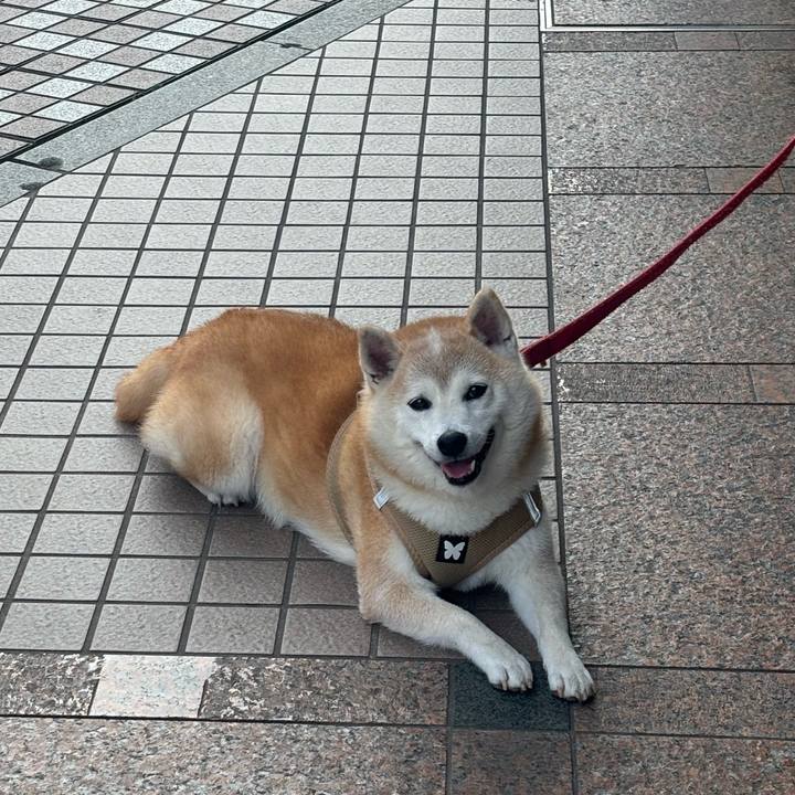 3ba254d1 cc5c 4b6a bf8b 8780dcfda7db 1752177939255