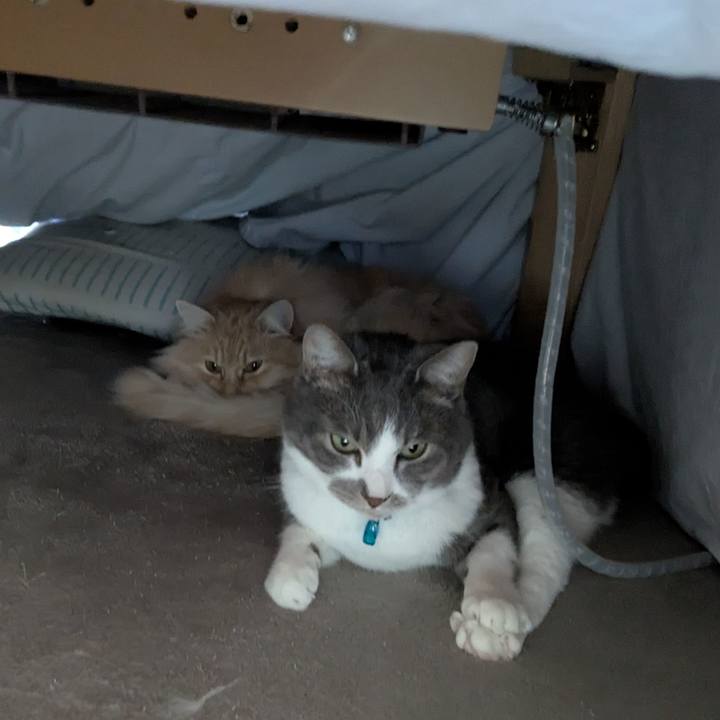 3ba2665e 41f7 4b5e 8983 8f4fe040bd2b 1773195193057