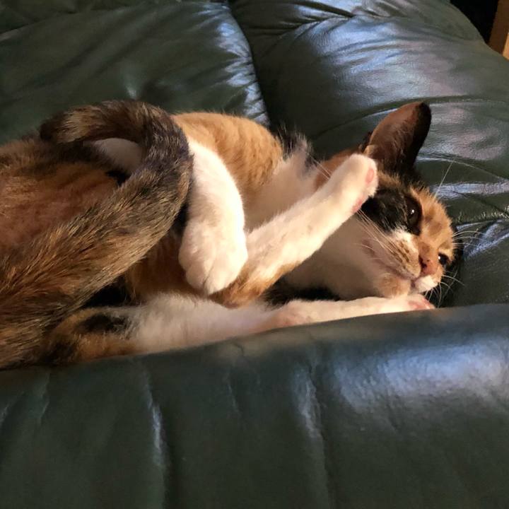 3ba26e1c df35 4ab3 9884 b458744de596 1538045875498