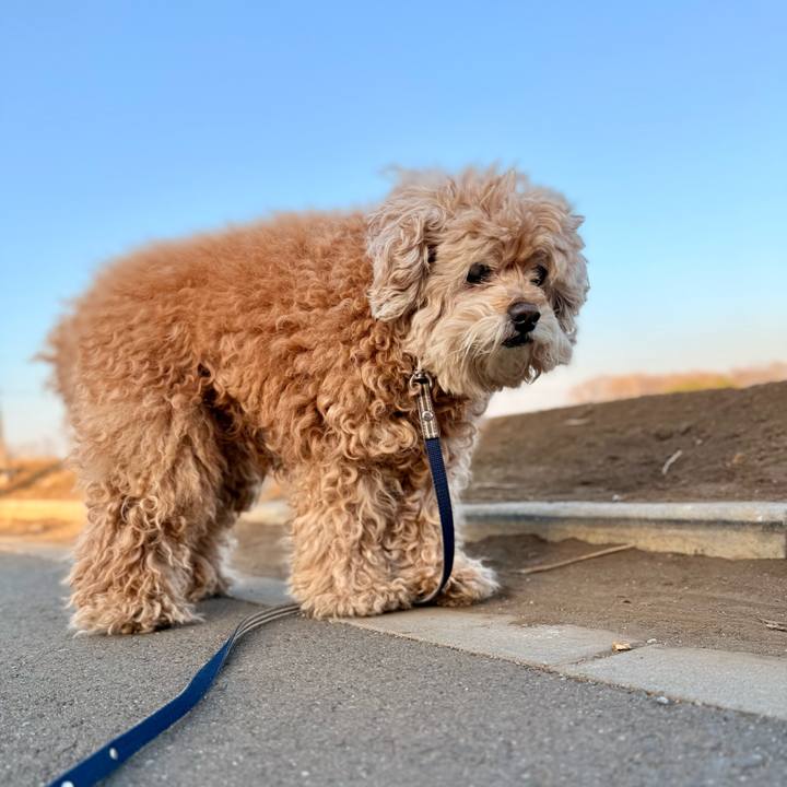 3ba2b191 6ac5 4952 9092 2b24c407931e 1771140530520