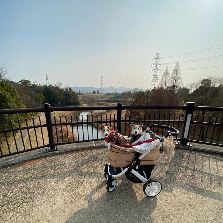 3ba2c878 5c63 43a6 8a1e 2004da7ba5ff 1673236455076