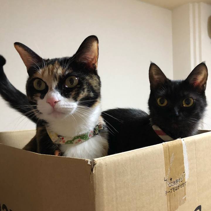 3ba2d2fc 4e28 4157 9f55 68f7e3571b36 1629706686825