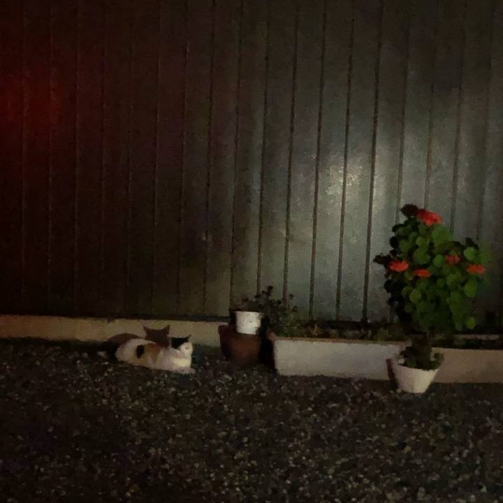 3ba315b4 0fc4 47ca bd1e 797285516327 1622559655788