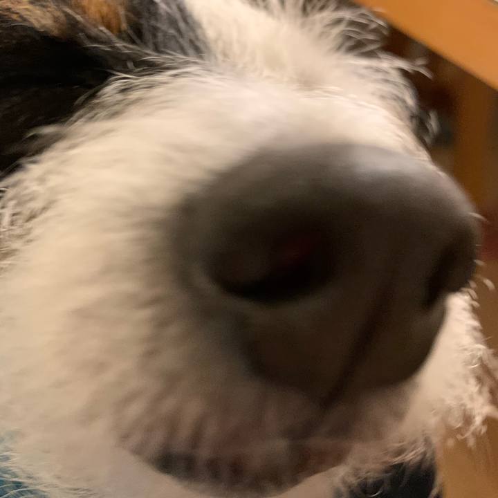 3ba3394b bf08 4222 8aa0 bd0f9709b8f3 1549109333063