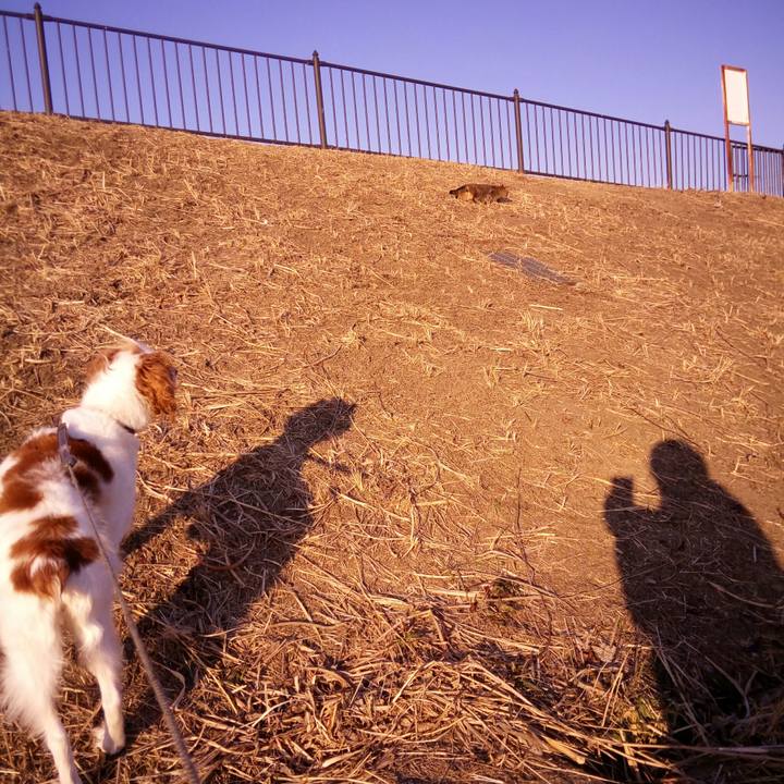 3ba35dbe dafd 4703 9dfa 4855758e1c4d 1517876946724