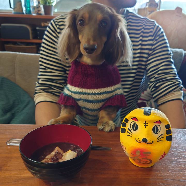 3ba37088 8092 4bdf 8dc2 82f51e1d95fb 1641705815922