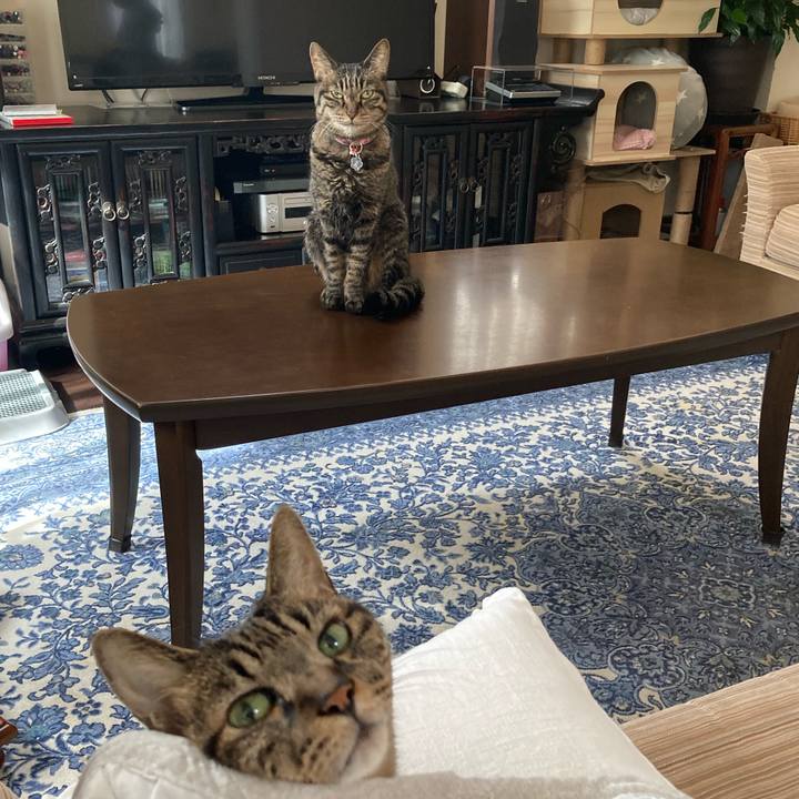 3ba386ec cea3 4b6f 979c 70e29204e3f0 1698580578716