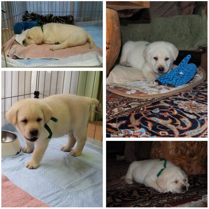 3ba3c44f 0d5b 46a3 890b 826abcaf506a 1649216233143