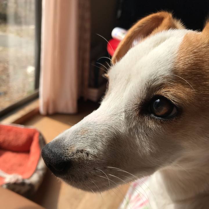 3ba3ca55 61fb 40db 8346 4a97ffa4c55d 1550832306055