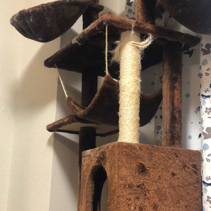 3ba44aa7 90b2 4b9e aed0 93eab1a82104 1550015051305