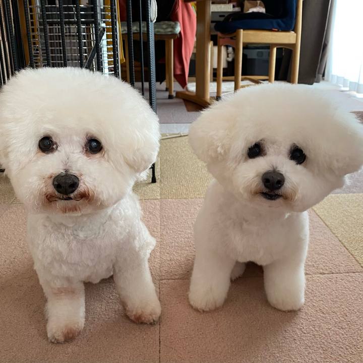 3ba49088 6e25 4f23 963b d5ec2bbe9a6d 1710921264630