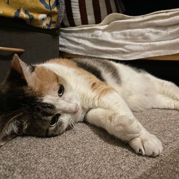 3ba4a47d 533d 43f0 9885 6c72e41aaadd 1716227435507