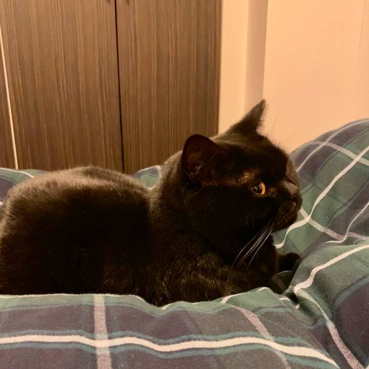 3ba4bf46 ab6e 4d1e 9337 25829dad729a 1641724162060