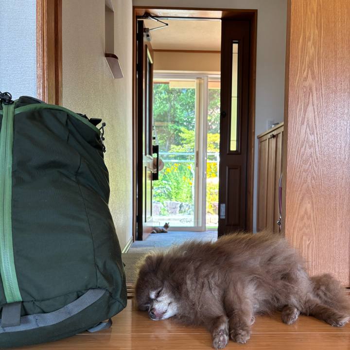 3ba4d65e 35f2 432a a69c c03ffac196a0 1752554295141