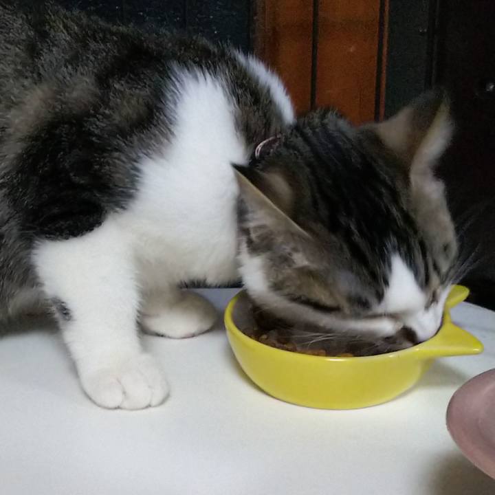 3ba4feb8 f081 40e3 9bb7 4aec603138c3 1612564236540