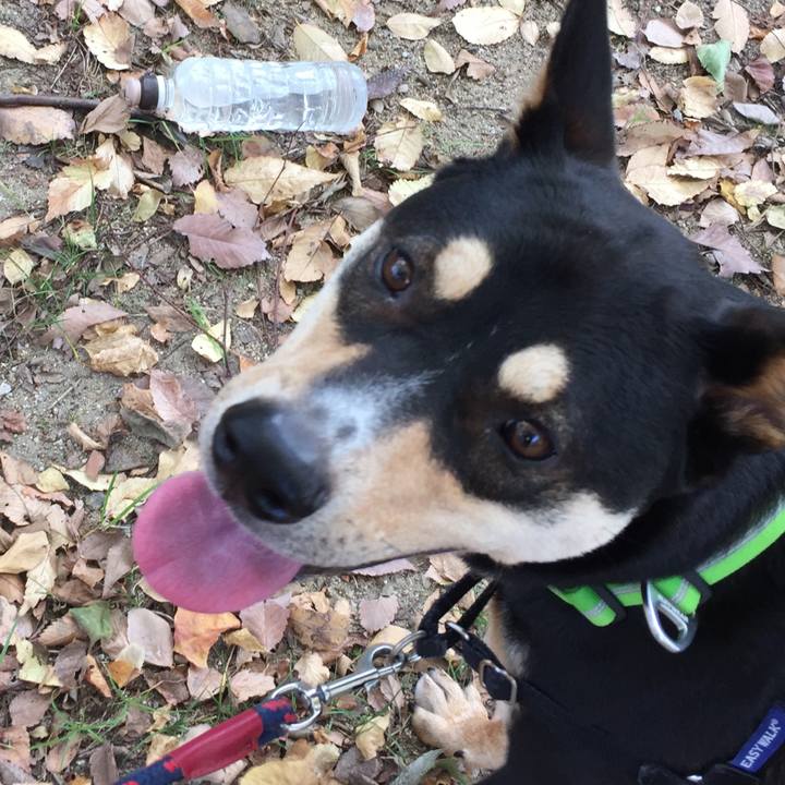 3ba520b3 1480 45cd 886b 8a92d601a3ab 1542421216354