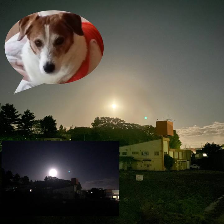 3ba52639 8775 4c74 bc14 99dc3e6e52e6 1570965307490