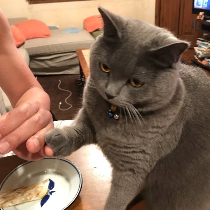 3ba5476c a47e 4e44 b198 eed238125f2d 1524146845039