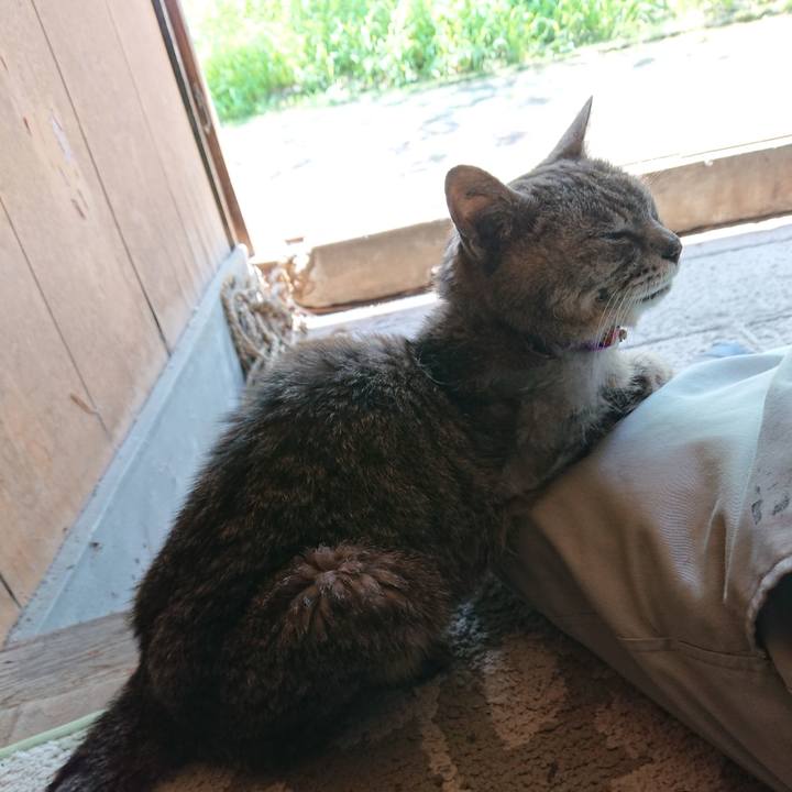 3ba55c81 658a 4922 8fe2 f5e3f7ae08d3 1595473707006