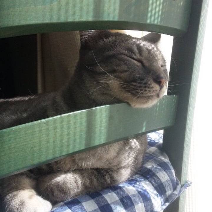 3ba5670a 17a2 49a3 a4f2 55f2dfabeada 1526384506809