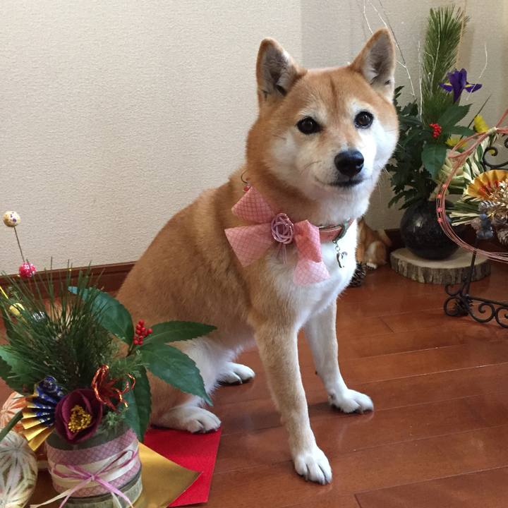 3ba59638 b1d7 446d aeb3 54341eb07607 1514779505624