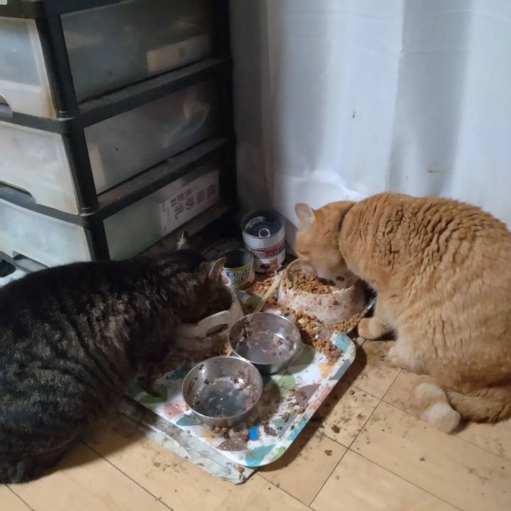 3ba5ecfa a9ad 4a54 b044 377868561f2f 1704577000919