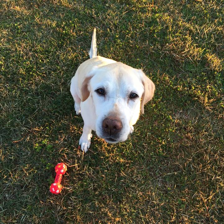 3ba62e67 06bd 49f2 bba4 4e4b45512f2b 1510576369491